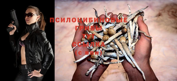 меф Пересвет